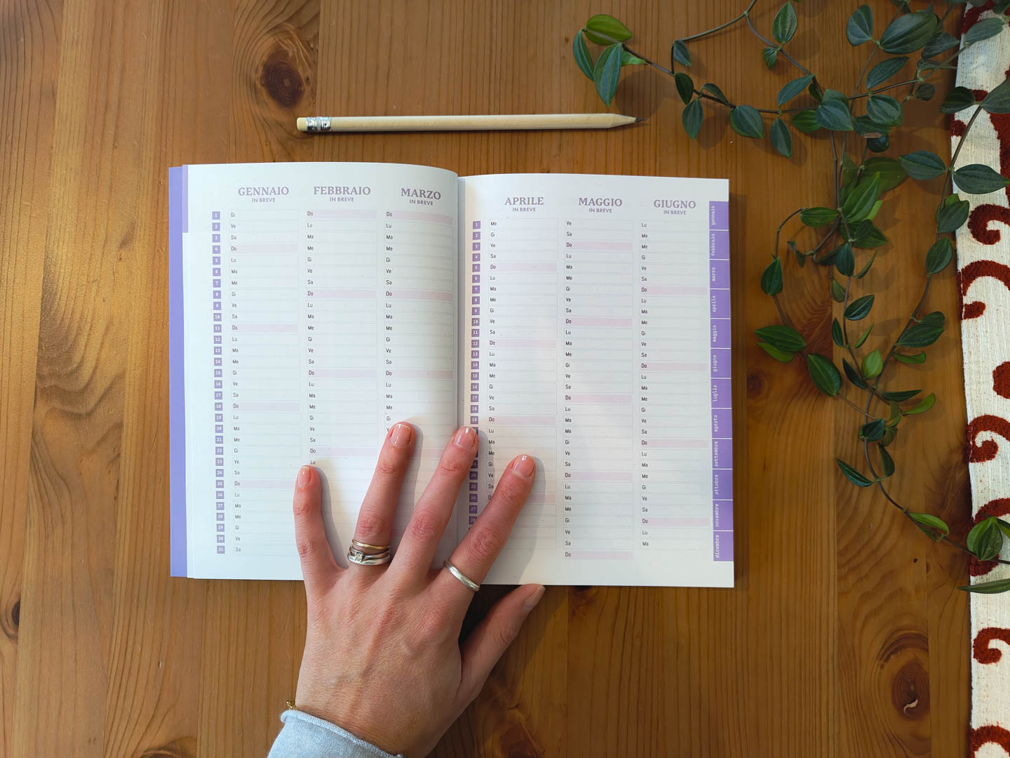 Agenda 2026 - immagine 4