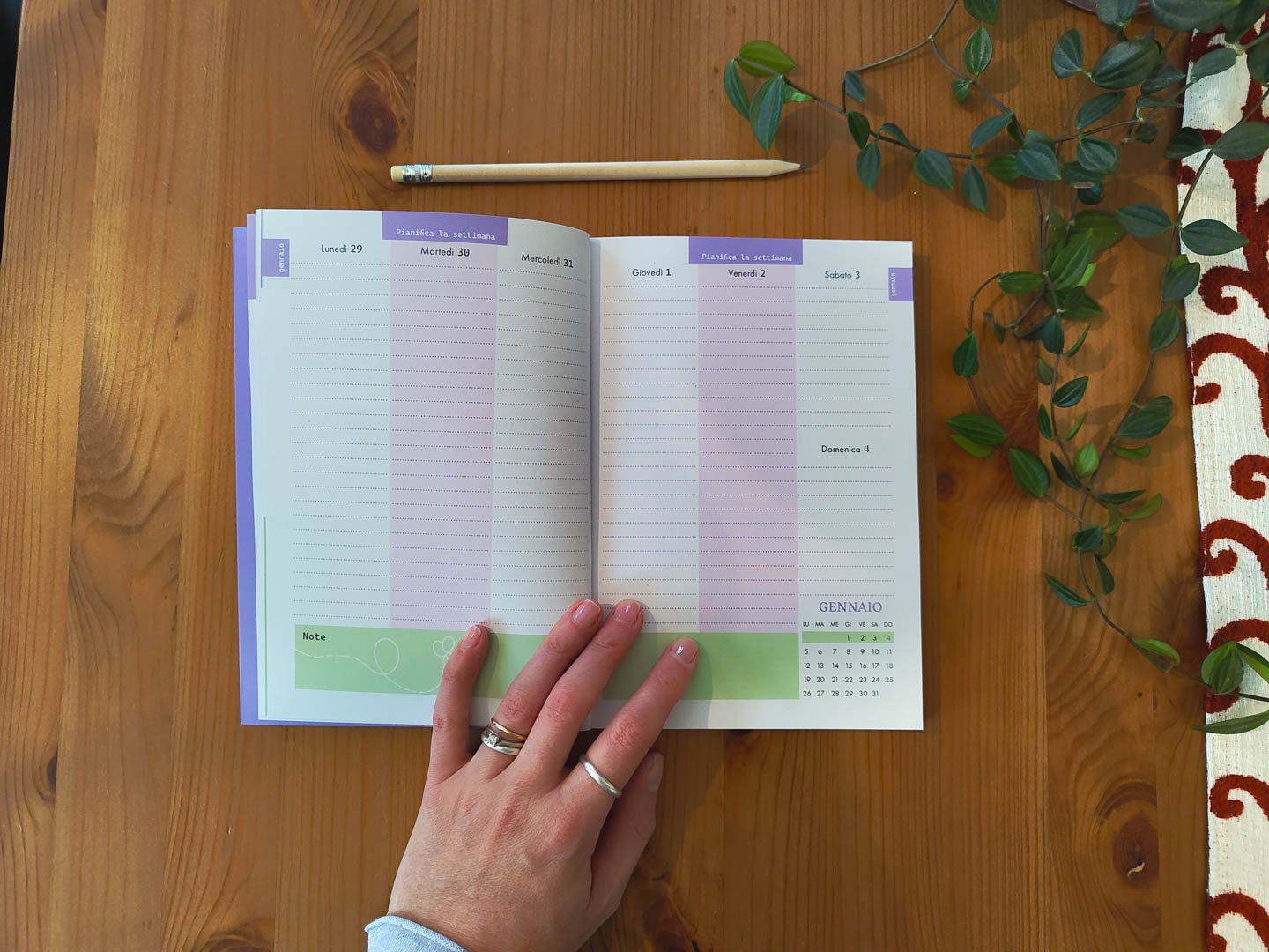 Agenda 2026 - immagine 6